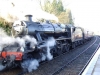 arley6
